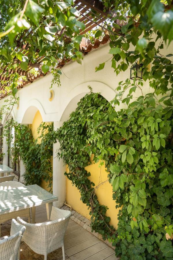 Villa Pontica Navodari Luaran gambar