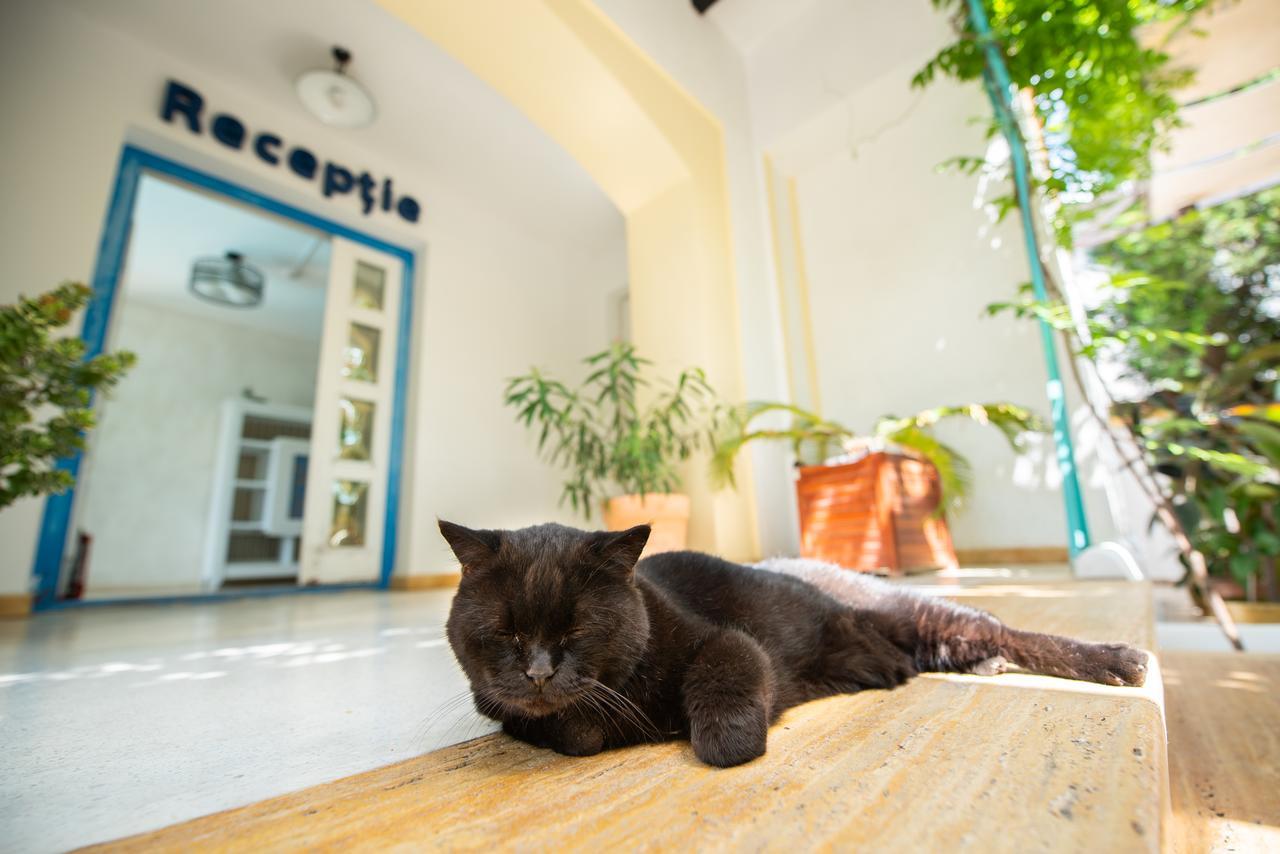Villa Pontica Navodari Luaran gambar